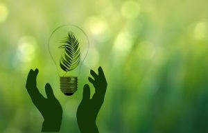 Eficiența energetică în viața oamenilor în perspectiva anilor 2050 romania durabila
