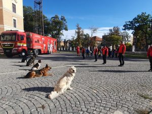 Zilele prevenirii dezastrelor Oradea 5 romania durabila