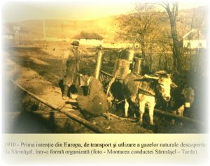 industria de gaze romania durabila
