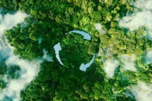 Abstract icon representing the ecological call to recycle and reuse in the form of a pond with a recycling symbol in the middle of a beautiful untouched jungle romania durabila