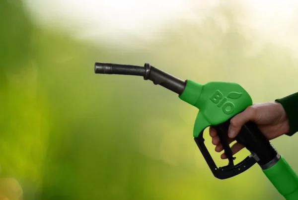 biocarburant romania durabila