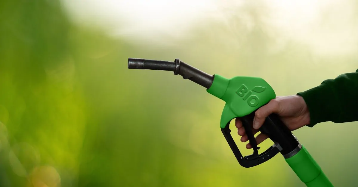 Analiza. Plafonarea marjelor și reducerea cantității de biocarburant pentru scăderea prețului final la motorină